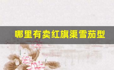 哪里有卖红旗渠雪茄型的-河南红旗渠雪茄型多少钱一包