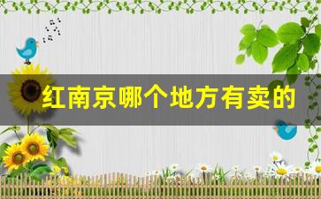 红南京哪个地方有卖的-红南京在南京哪里可以买到