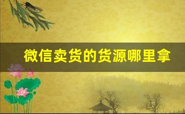 微信卖货的货源哪里拿的-第三方微信卖货小程序