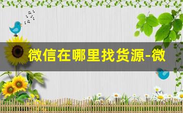 微信在哪里找货源-微信上的货源从哪里来