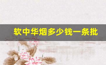 软中华烟多少钱一条批发-软中华烟在多少钱能买到