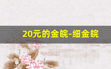 20元的金皖-细金皖和粗金皖哪个贵