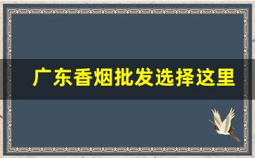 广东香烟批发选择这里-广东超市香烟品牌及价格