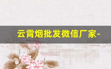 云霄烟批发微信厂家-怎么找到云霄烟批发