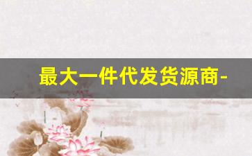 最大一件代发货源商-一件代发免费货源加盟