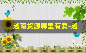 越南货源哪里有卖-越南哪里找中国货源