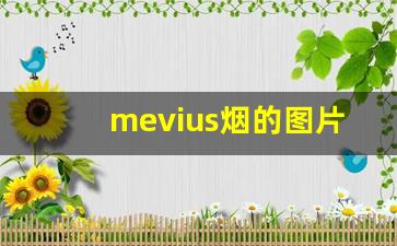 mevius烟的图片及价格-mevius烟白盒多少钱一盒