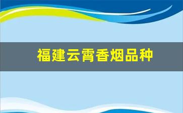 福建云霄香烟品种