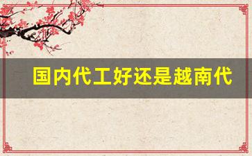 国内代工好还是越南代工好
