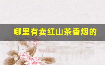 哪里有卖红山茶香烟的-红山茶香烟多少钱一盒图片