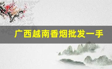 广西越南香烟批发一手货源代理-广西东兴口岸香烟价格