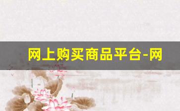 网上购买商品平台-网购商品批发平台
