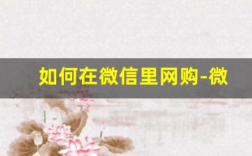 如何在微信里网购-微信网购平台