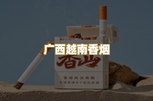 广西越南香烟